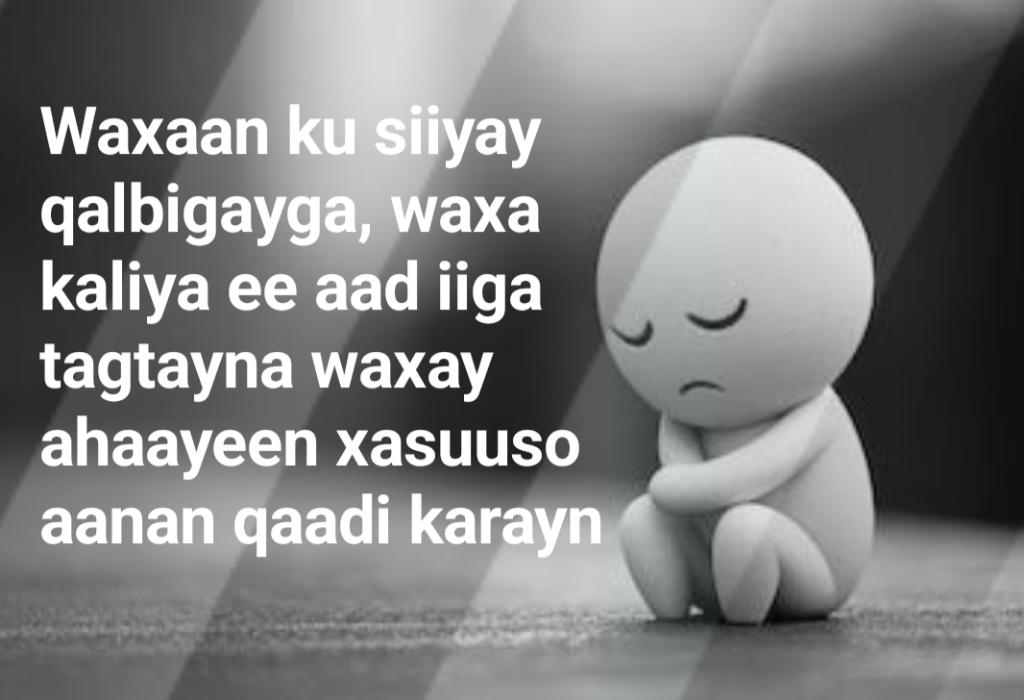 Waxaan ku siiyay qalbigayga, waxa kaliya ee aad iiga tagtayna waxay ahaayeen xasuuso aanan qaadi karayn