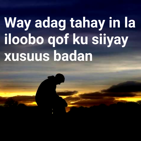 Way adag tahay in la iloobo qof ku siiyay xusuus badan