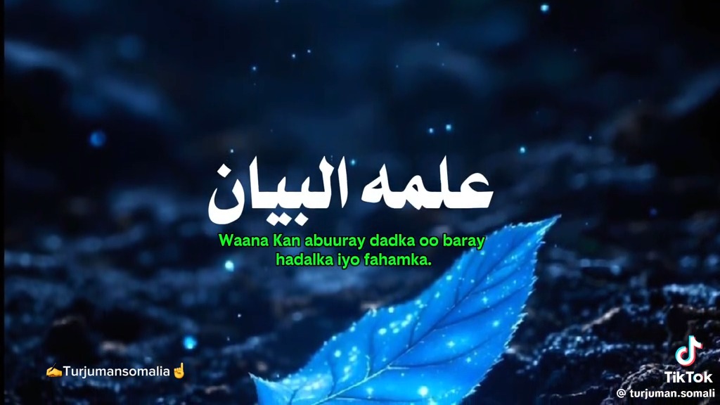 من الذي استوى